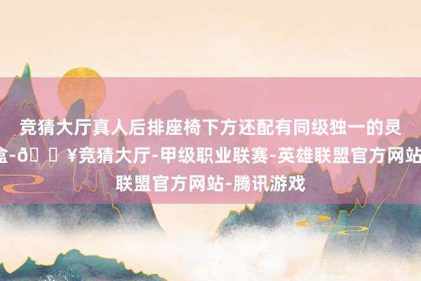 竞猜大厅真人后排座椅下方还配有同级独一的灵动双储物盒-🔥竞猜大厅-甲级职业联赛-英雄联盟官方网站-腾讯游戏