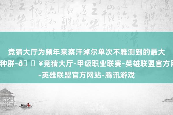 竞猜大厅为频年来察汗淖尔单次不雅测到的最大畛域豆雁移动种群-🔥竞猜大厅-甲级职业联赛-英雄联盟官方网站-腾讯游戏