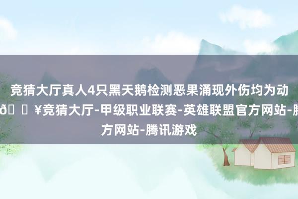 竞猜大厅真人4只黑天鹅检测恶果涌现外伤均为动物咬伤-🔥竞猜大厅-甲级职业联赛-英雄联盟官方网站-腾讯游戏